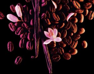 Yves Saint Laurent Opium Black 90 ml Eau de Parfum - Damesparfum - Afbeelding 3