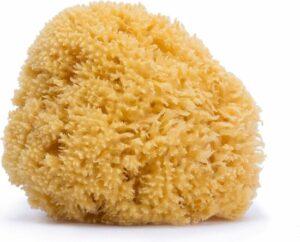 Lichaamsspons Suavinex Groot Natuurlijk - Afbeelding 3