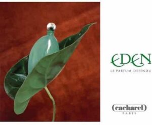 Cacharel Eden - 50ml - Eau de parfum - Afbeelding 2