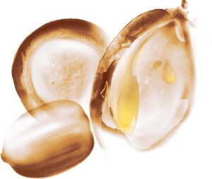 Herstellend Haar Masker Fructis Repair Butter Fructis - Afbeelding 3