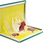 Lijmvallen, verpakking van 12 stuks, bescherming tegen kakkerlakken