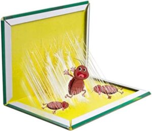 Lijmvallen, verpakking van 12 stuks, bescherming tegen kakkerlakken