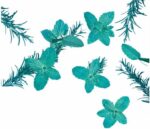 Kneipp Douche Good By Stress Rozemarijn Mint - 250 ml - Afbeelding 3