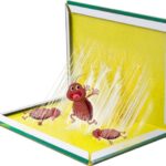 Lijmvallen - Verpakking van 12 stuks - Bescherming tegen kakkerlakken - Effectief