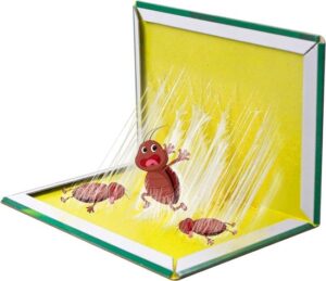 Lijmvallen - Verpakking van 12 stuks - Bescherming tegen kakkerlakken - Effectief