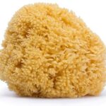 Spons Suavinex Natuurlijke Vezel