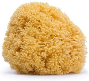 Spons Suavinex Natuurlijke Vezel