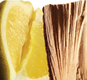 Yves Saint Laurent L'Homme Cologne Bleue 100 ml Eau de Toilette - Herenparfum - Afbeelding 4