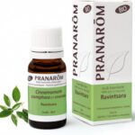 Ravintsara Bio Ess Olie 10ml Pranarom