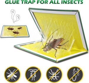 Lijmvallen - Verpakking van 12 stuks - Bescherming tegen kakkerlakken - Effectief - Afbeelding 2