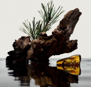 Burberry Hero Edp Sp 50ml - Afbeelding 4