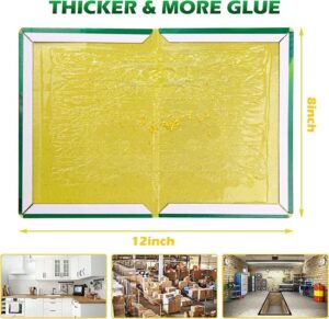 Lijmvallen - Verpakking van 12 stuks - Bescherming tegen kakkerlakken - Effectief - Afbeelding 4