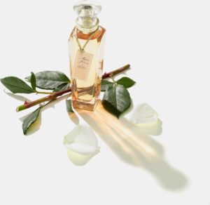 Adolfo Dominguez - Damesparfum Agua Fresca Rosas Blancas Adolfo Dominguez EDT - Vrouwen - 200 ml - Afbeelding 2