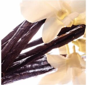 Shalimar Eau De Parfum (edp) 50ml - Afbeelding 4