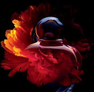 Dior (Christian Dior) Hypnotic Poison EDT W 150 ml - Afbeelding 4