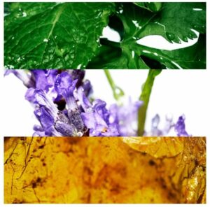 Davidoff Cool Water 200 ml Eau de Toilette - Herenparfum - Afbeelding 3