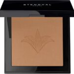 Stendhal Perfecting Compact Powder 131 Ambre 9g