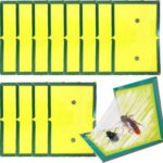 100 stuks - Maxenza Muizen Lijmplanken – Lijmplaat Muizenval – Muizenvallen voor binnen  – 100% pakkans - Afbeelding 2