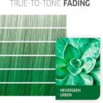 Wella Cf Cr Neverseen Green 60ml We_almea - Afbeelding 4