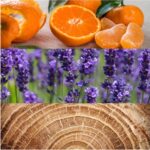 Calvin Klein Obsession 125 ml Eau de Toilette - Herenparfum - Afbeelding 4