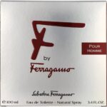 Salvatore Ferragamo - F By Ferragamo - 100 ml - Eau de Toilette - Herenparfum - Afbeelding 3
