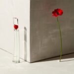 Flower Eau De Parfum By Kenzo 50 Ml - Afbeelding 3