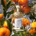 Guerlain Aqua Allegoria Mandarine Basilic Eau De Toilette Spray 75ml - Afbeelding 4