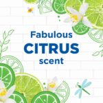 WC Eend Toiletblok Active Clean Citrus 38 gr - Afbeelding 2