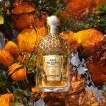Guerlain Guer Aqua Allegoria Mand Bas Forte 75ml - Afbeelding 3
