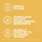 Wella Professionals Invigo SUN Conditioner 200ML - Conditioner voor ieder haartype - Afbeelding 3