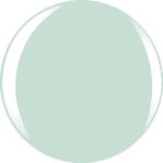 L Oreal Color Riche Nr 853 Menthe Glace 5 Ml - Afbeelding 2