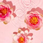 Jowae Lotion Astringente Purifiante Fl 200ml - Afbeelding 3