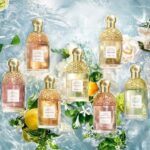 Guerlain Aqua Allegoria Orange Soleia EDT U 75 ml - Afbeelding 4