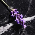 JOOP ! Homme Le Parfum Eau de Parfum 125 ml Herenparfum - Afbeelding 2