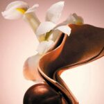 Hugo Boss The Scent Le Parfum For Him Eau de Parfum 50 ml - Afbeelding 3