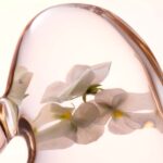 Lancaster Skin Essentials Softening Facial Toner 400 ml - Afbeelding 4