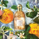 Guerlain Aqua Allegoria Orange Soleia EDT U 125 ml - Afbeelding 3