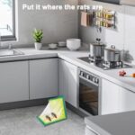 100 stuks - Maxenza Muizen Lijmplanken – Lijmplaat Muizenval – Muizenvallen voor binnen  – 100% pakkans - Afbeelding 7