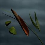 Burberry Mr. Burberry EDP M 50 ml - Afbeelding 2