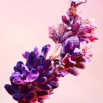 Douchegel Paco Rabanne Phantom (150 ml) - Afbeelding 4