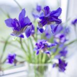 Parfumset voor Kinderen Air-Val Eau My Unicorn 3 Onderdelen - Afbeelding 4