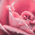 Eau my Unicorn Geschenkset - Eau De Toilette 50 ml & Douchegel 300 ml - Met Rugzak - Afbeelding 4