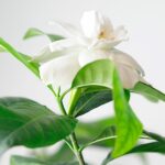 Eau My Planet - Kinderparfum 100ml + Waterfles - Afbeelding 3