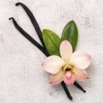 Frozen II Geschenkset - Eau de Toilette 100 ml & Manicurekit - Met Nagellak, Nagelvijl en Nagelstickers - Afbeelding 4