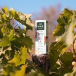 N.A.E. Energia Moisturizer Dagcrème Vegan 50ml - Afbeelding 2