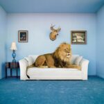 Clementoni Legpuzzel - Frame Me Up Puzzel Collectie - The Master of the house - 250 stukjes, puzzel volwassenen - Afbeelding 2