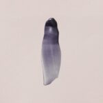 REF Stockholm - Colour Boost Masque Vivid Turquoise - 200ml - Afbeelding 2