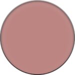 Clinique Compact Poeder Clinique Foundation Blushing Blush Compact Poeder Powder Blush 6 gr - Afbeelding 21