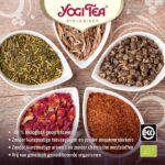 Yogi Tea Christmas Organic 35 7gr - Afbeelding 4