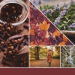 Yankee Candle Autumn Daydream Signature Medium Jar - Afbeelding 2